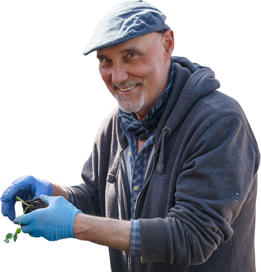 Planting A man holding a plant ready for potting
